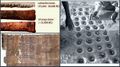 Thumbnail for version as of 20:29, 19 November 2024